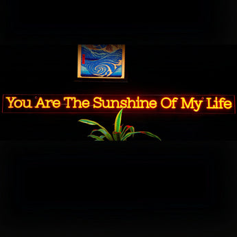 You are The Sunshine of My Life Neon Sign