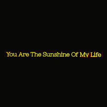 You are The Sunshine of My Life Neon Sign